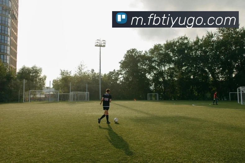 FB体育APP 封面图